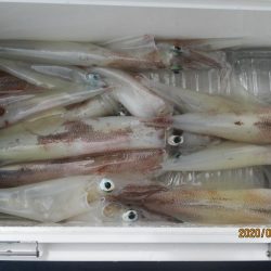 ヤリイカ　20～35杯　釣れたよ(^O^)／